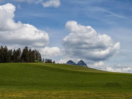 Meadow at the edge of a forest, cloudy mood over a mountain peak, near Bad Mitterndorf, Styria,
