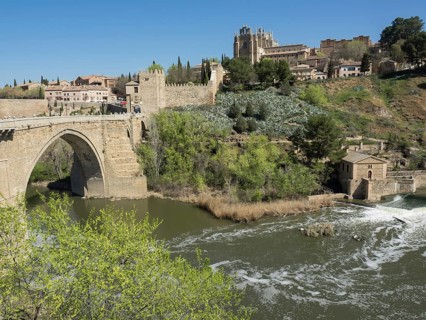 Historic stone bridge with green vegetation over a river and buildings in the background under a