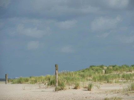 Barren dune landscape with tufts of grass and wooden posts under a cloudy sky, lonely beach with