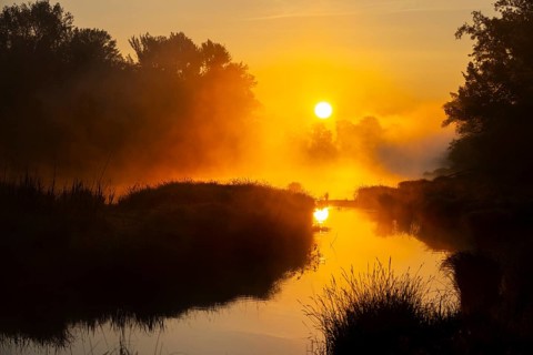 Morning atmosphere, fog, sunlight, backlight, water, Lower Austria