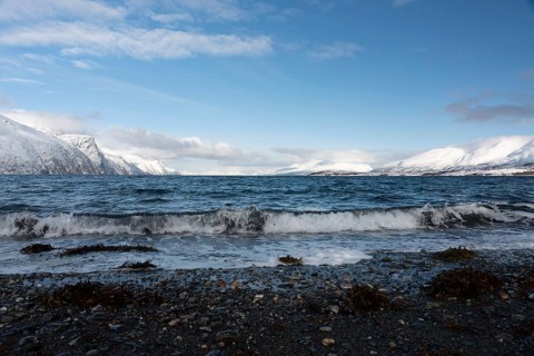 View into the sea with mountains of the Lyngenfjord in winter, Norway, Europe