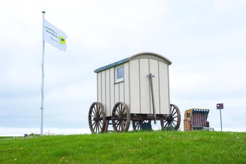 Old wooden cart, bathing cart with drawbar and large wooden wheels on a green meadow with a flag