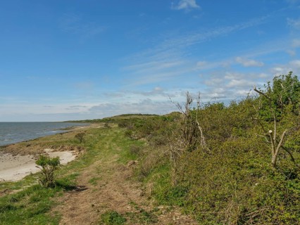 A coastal path leads through green vegetation along the sea, dunes and footpaths on the Wadden Sea,