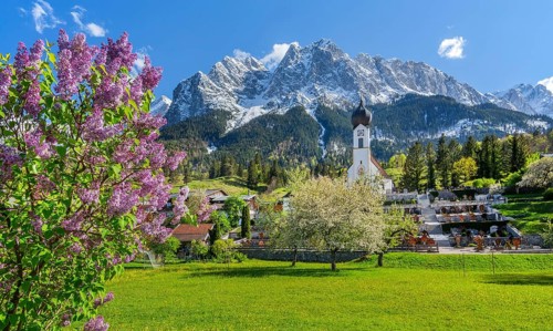 Spring meadow with blossoming trees and parish church in front of the Grosser Waxenstein 2277m in