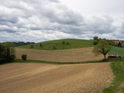 Arable land in hilly country, East Styrian volcanic region, near Riegersburg, Styria, Austria,