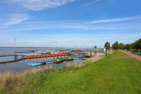 Sailing boats in the harbour, Lake Duemmer, nature reserve, reeds, shore, Huede, Lower Saxony,