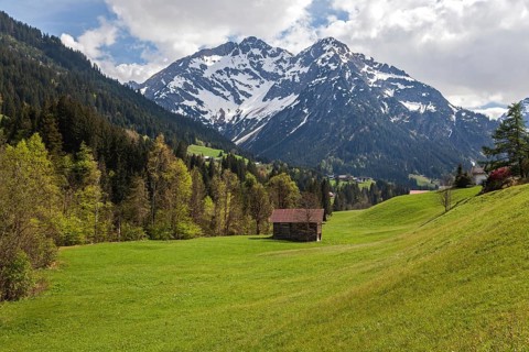 Landscape with meadows and wooden hut, behind Widderstein and Kleiner Widderstein, near Mittelberg,