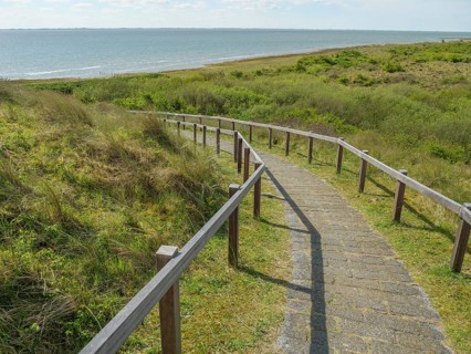 Narrow downhill path with wooden railings leading to a coast under a blue sky with clouds, dune and