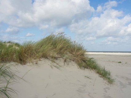 Close up view of sand dunes with tufts of grass under a cloudy sky, sand dune with dune grass on a