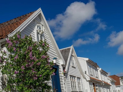 White houses with red roofs under a blue sky, flowering bush in the foreground, white wooden houses