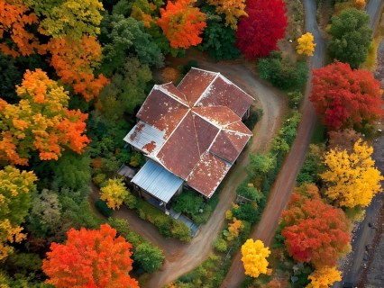Aerial view of a rustic vineyard cottage nestled in a canopy of vines leaves showcasing autumns