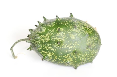 African horned melon (Cucumis metuliferus), fruit on white background