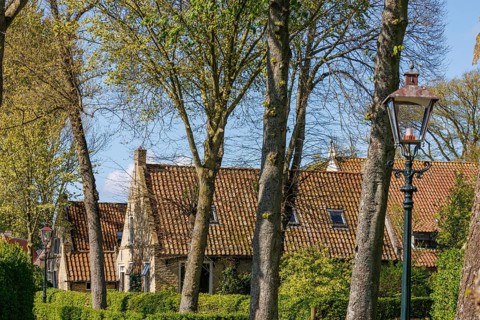 Red tiled houses and a lamppost, embedded in a green landscape with large trees, historic houses in