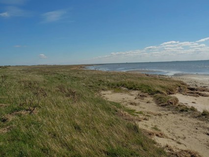 A natural coast with sand and grass on the seashore under a blue sky, dunes and footpaths on the