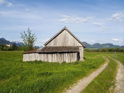 Hay barn in the evening light, behind Trautenfels Castle, near Irdning, Ennstal, Styria, Austria,