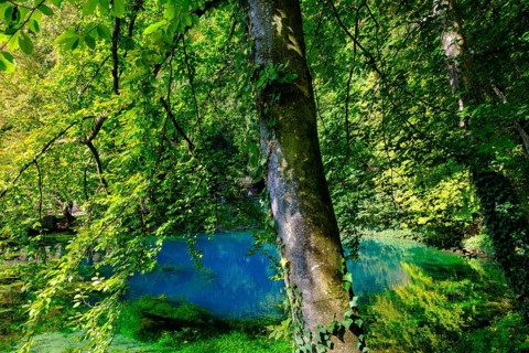 Blue spring, karst pot, Blautopf, Blaubeuren, Swabian Alb, Baden-Wuerttemberg, Germany, Europe