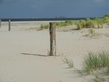 Sandy beach with wooden posts and grassy dunes under a partly cloudy sky, lonely beach with dune