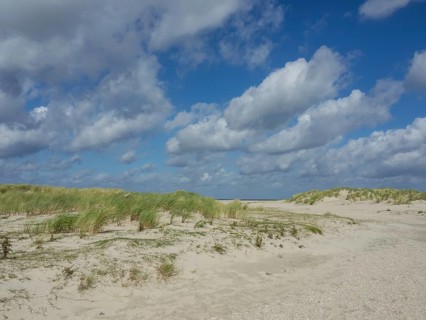 Wide sand dunes under blue sky and clouds, peaceful atmosphere, lonely beach with dune grass in the