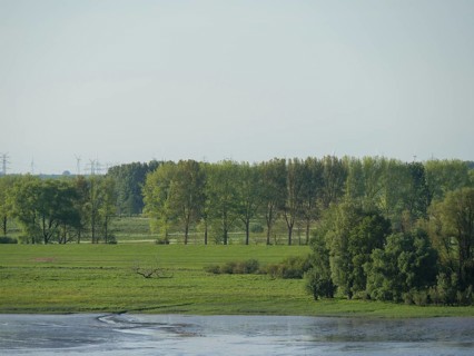 Wide green fields and densely wooded areas on the calmly flowing river banks under a clear sky,