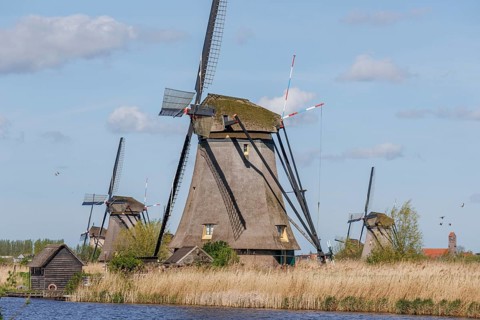 Windmills and a shed next to a body of water, surrounded by reeds under a cloudy sky, many historic
