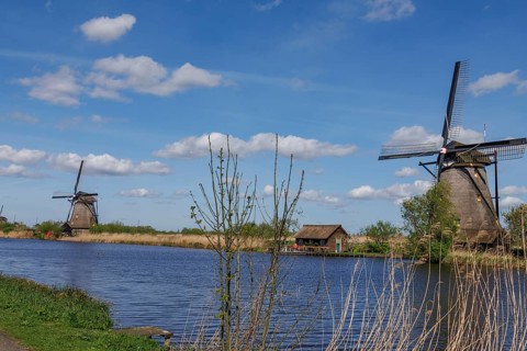 Several windmills next to a body of water and a path, surrounded by reeds under a cloudy sky, many