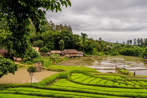 Landscape of Five Hill Tribes Village house and rice paddies with unidentified people working in