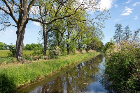 Idyllic scene with moat, trees and a bench on the bank, Droemling Biosphere Reserve, Mannhausen,