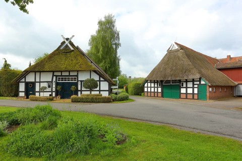 Half-timbered gables of thatched courtyards at the Duemmer, Huede, Lower Saxony, Germany, Europe