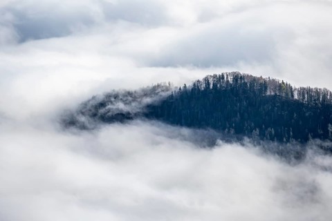 Wooded mountain looks out of cloud cover, view from Ettaler Manndl, high fog in the valley,