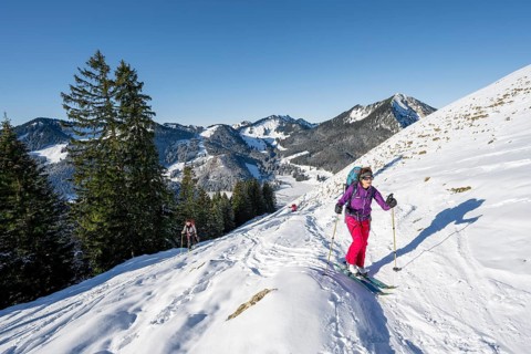 Ski tourer climbing the Aiplspitz, Mangfall mountains, Bavarian Prealps, Bavaria, Tyrol