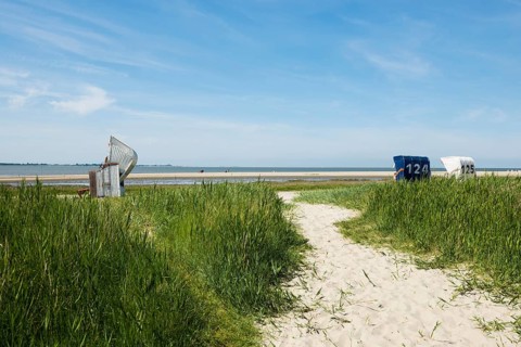 Beach chairs on the sandy beach, Hooksiel, Wangerland, East Frisia, Lower Saxony, Germany, Europe