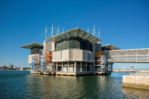 Lisbon, Portugal, July 28, 2023: The Lisbon Oceanarium one of the largest indoor aquariums in