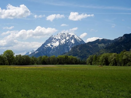 Meadow at the edge of the forest, Grimming, near Irdning, Ennstal, Styria, Austria, Europe