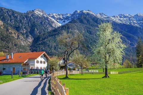 Village street and spring meadow with blossoming trees in front of Hohe Kisten 1922m in the