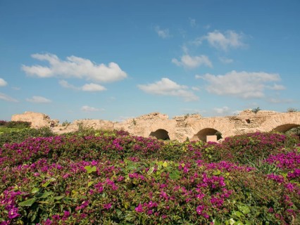 Purple flowering plants in a wide landscape with ruins and stone arches under a blue sky, Purple
