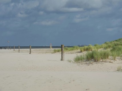 Sand dunes with tufts of grass and posts on the beach, distant windsurfers in the background,