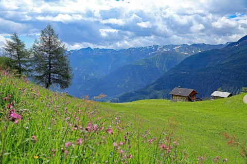 Bodenalm, Seefeld, East Tyrol, Austria, Europe