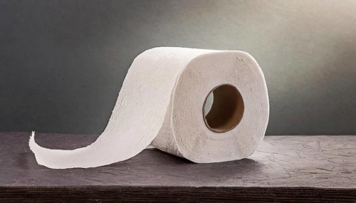 Symbol photo, a roll of toilet paper, AI generated, AI generated