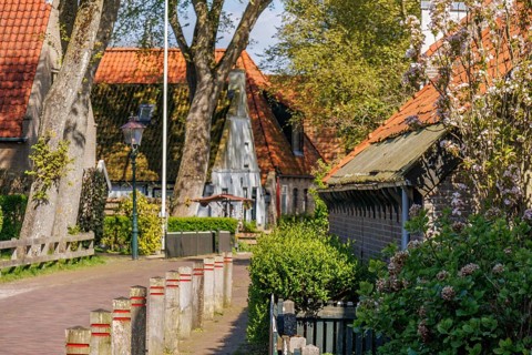 Idyllic village street with traditional houses, flowers and large trees, rustic atmosphere in