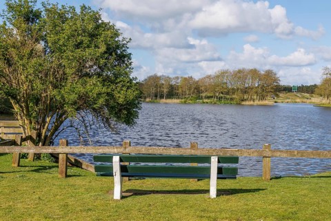 Park bench on the lakeshore with a view of the water and surrounding trees under a cloudy sky,
