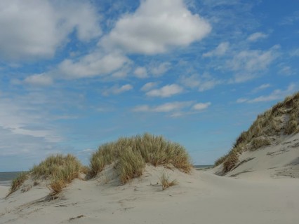 Sunny day with sand dunes and reeds on the beach under a blue sky with clouds, dunes by the sea