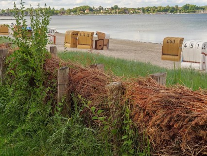 Beach chairs on a sandy beach, in the foreground grasses and wood, in the background calm sea,