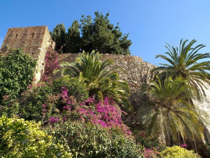 Stone castle wall overgrown with bougainvillea and surrounded by palm trees and cypresses, against
