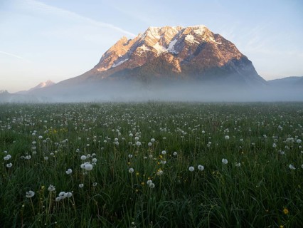 Morning light falls on a mountain peak, Grimming, early morning fog on the meadow, near Irdning,