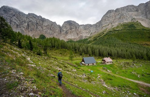 Mountaineer on a hiking trail near a mountain pasture, Obere Wolayer Alpe, Karnischer Hoehenweg,