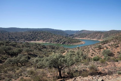 River bend in the Monfraguee National Park, Extremadura, Castilla La Mancha, Spain, Europe
