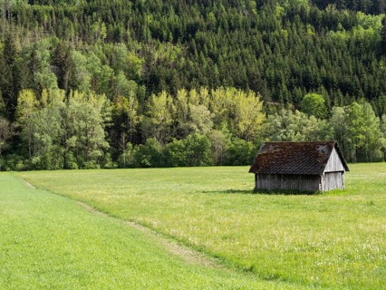 Hay barn in a meadow at the edge of a forest, near Irdning, Ennstal, Styria, Austria, Europe