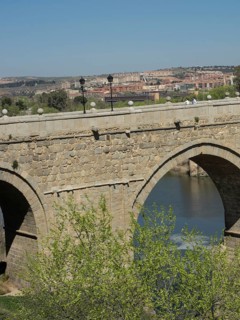 Stone bridge over a river with trees and streetlights in the foreground, city in the background,