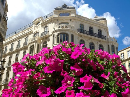 Old building with pink flower clusters in the foreground under a clear sky, blossom and palm trees