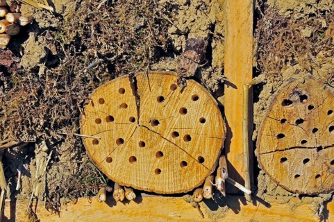 Nesting aid for wild bees and other insects with wooden logs, wild bee nesting aid, insect nesting